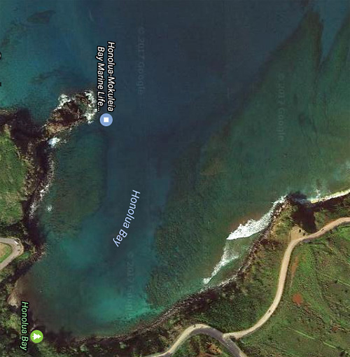 Honolua Bay aerial photo